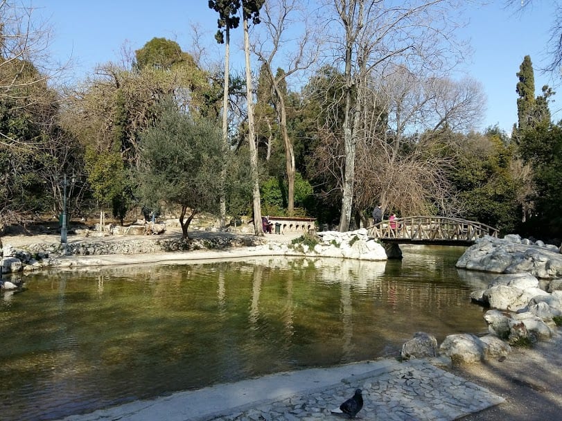 The Lake at the Botanical Gardens in Athens Greece