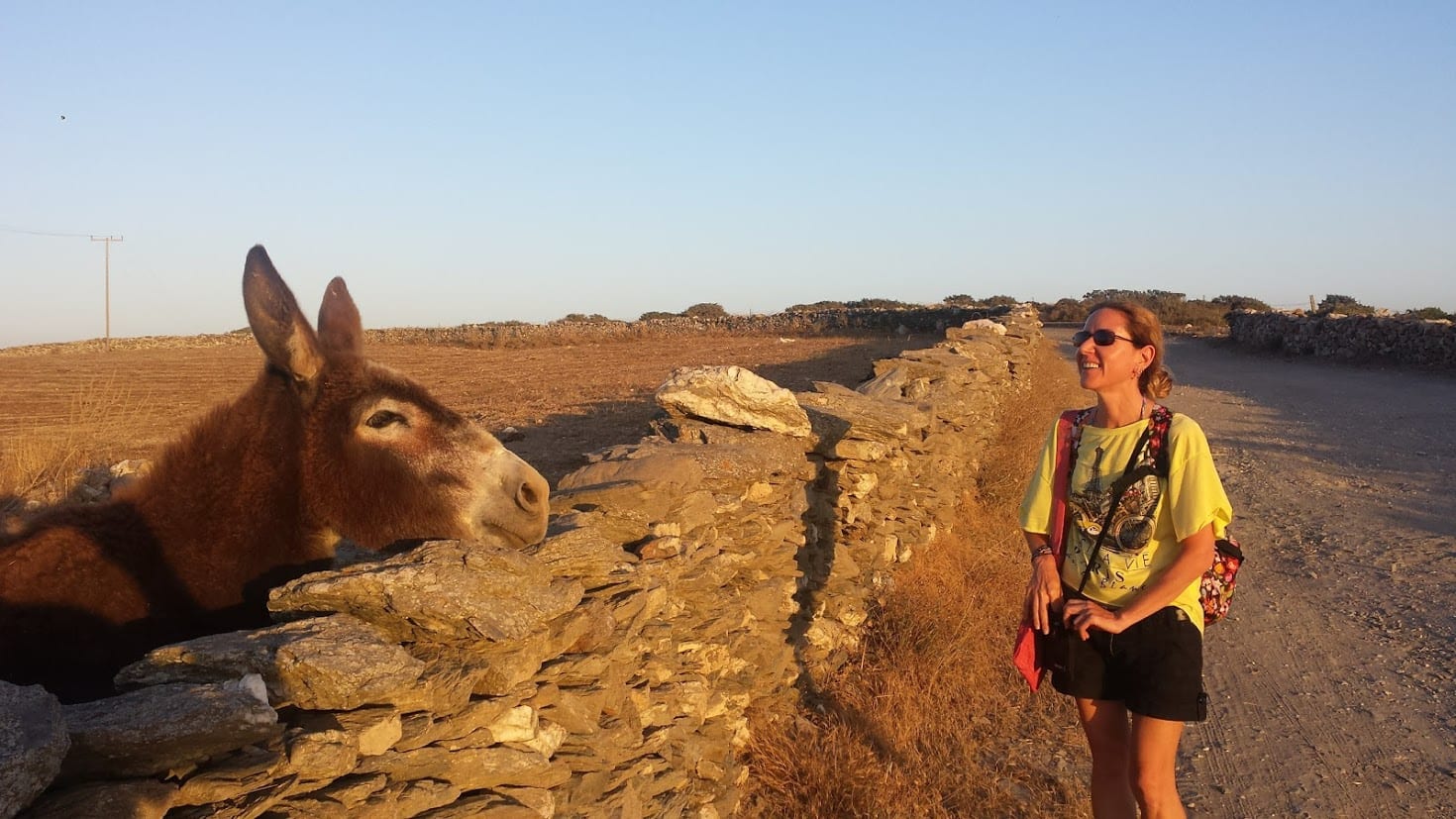 Making friends with a donkey in Schinoussa Greece
