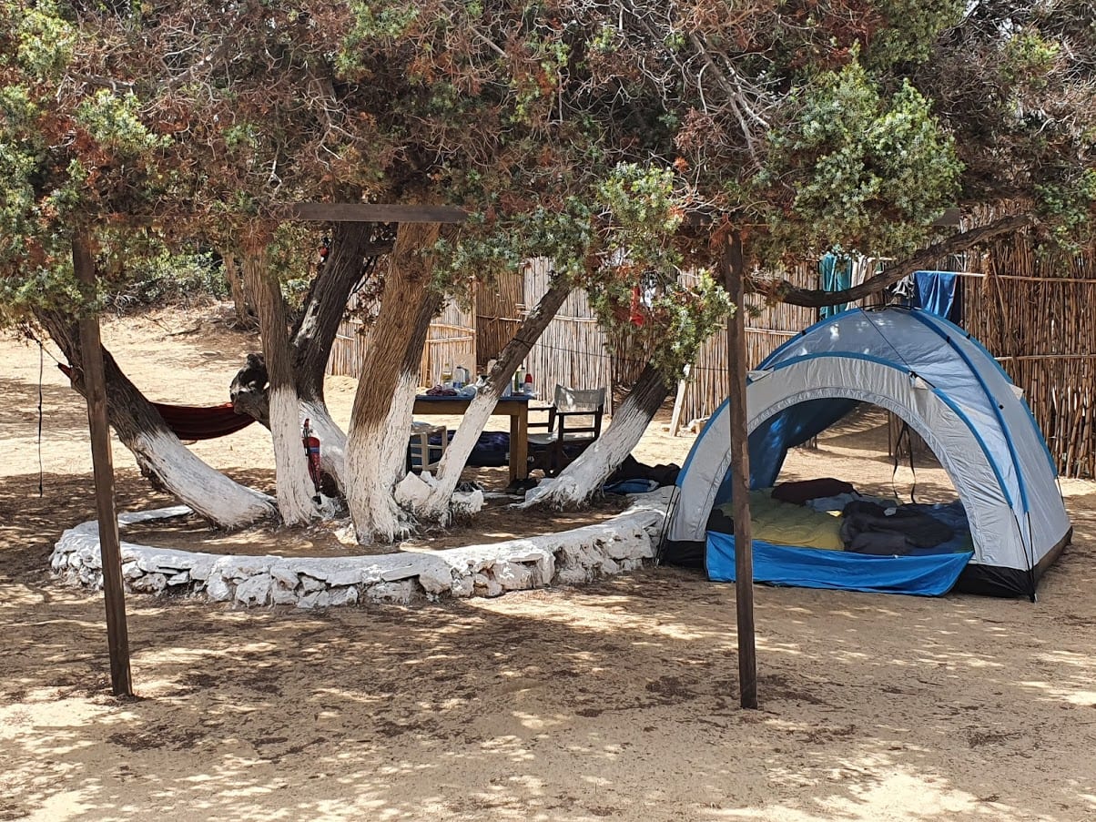 Camping in summer in the shade