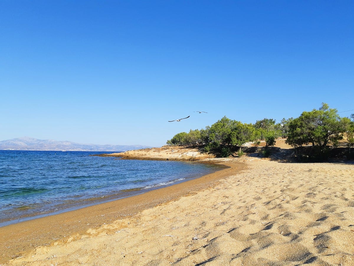 Logaros Beach in Paros