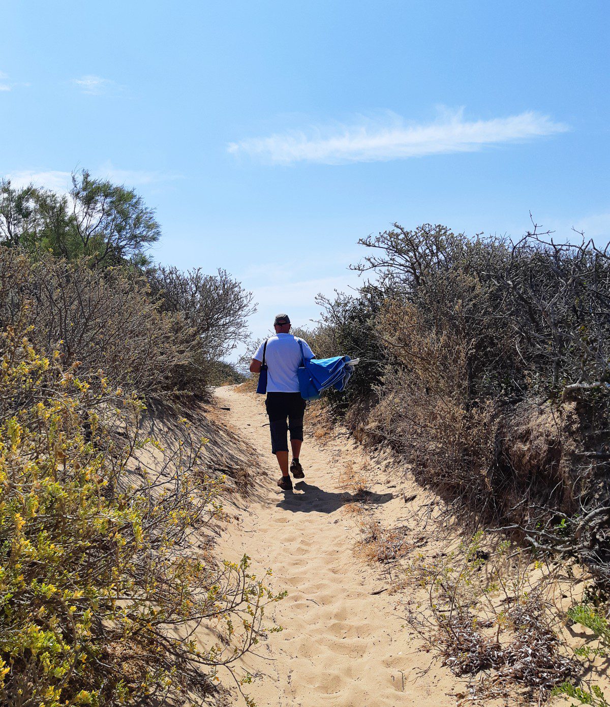 The coastal path