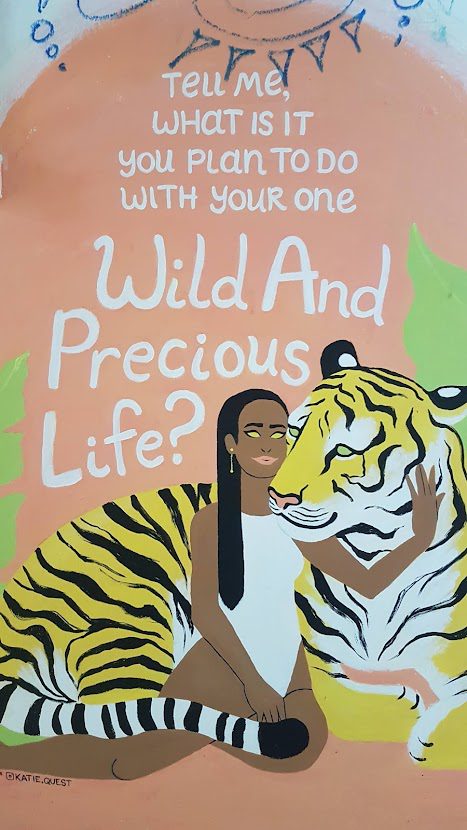 What to do with your wild and precious life