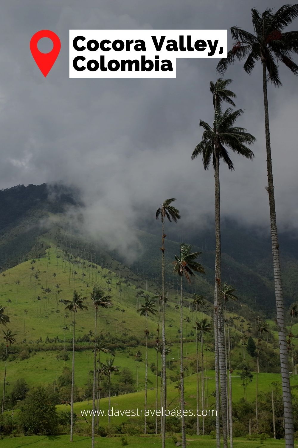 Cocora Valley, Colombia