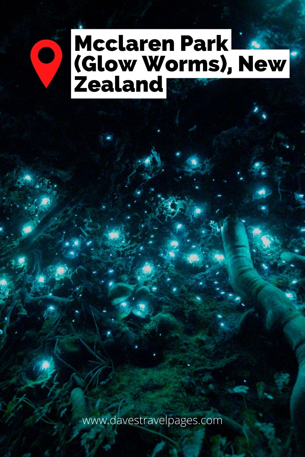 Mcclaren Park (Glow Worms), New Zealand