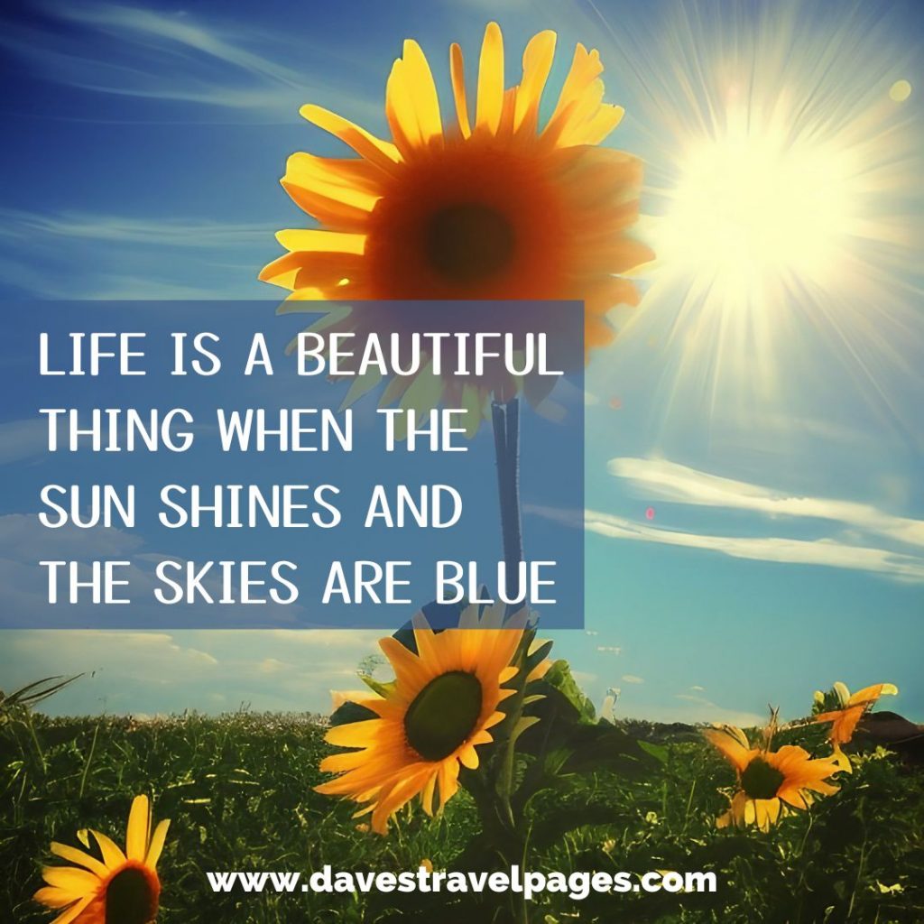 Life is a beautiful thing when the sun shines and the skies are blue