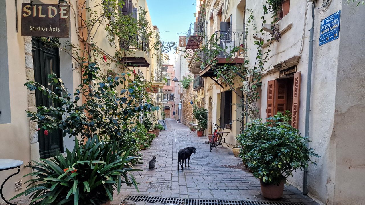 a side street in chania with studio apartments for rent