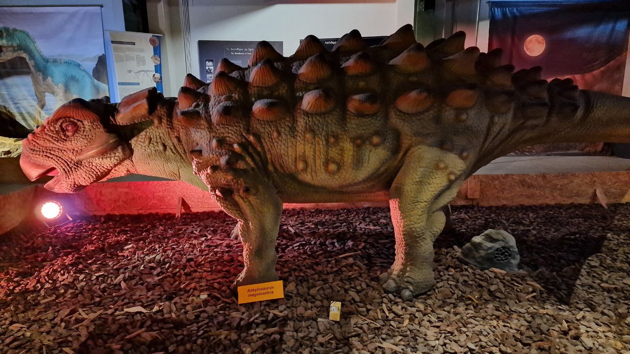dinosaur inside natural history museum crete