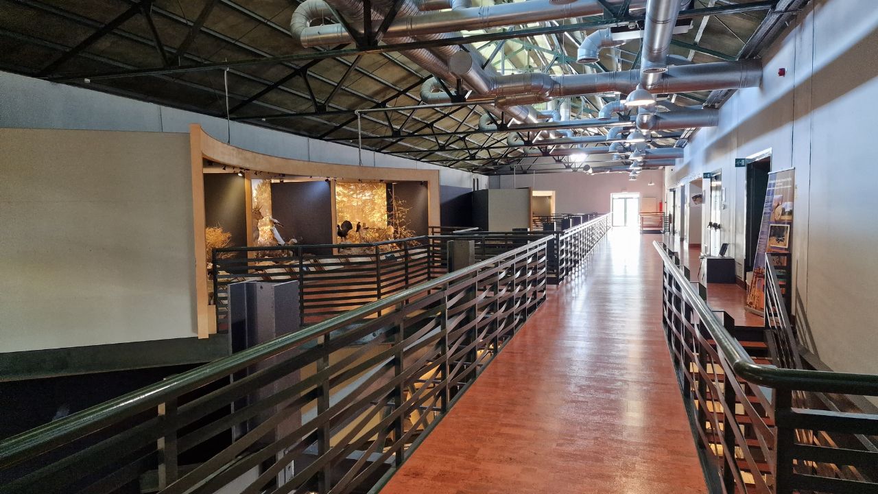 inside natural history museum crete