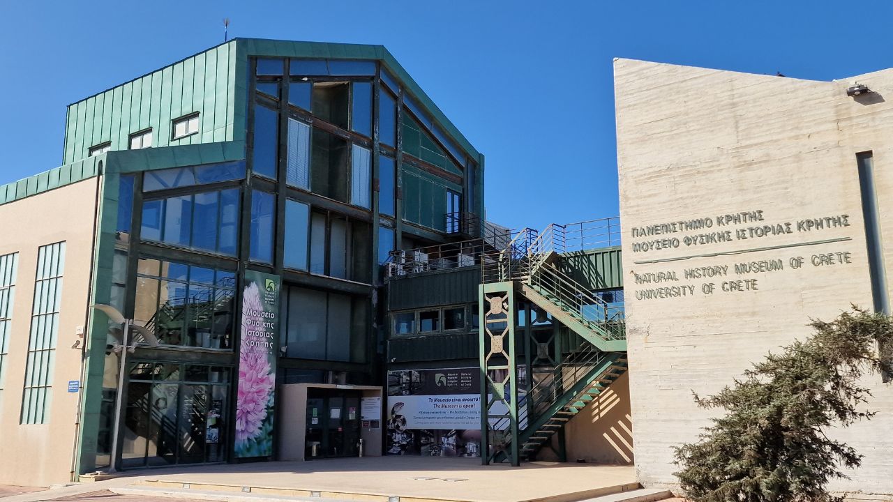 natural history museum crete in heraklion