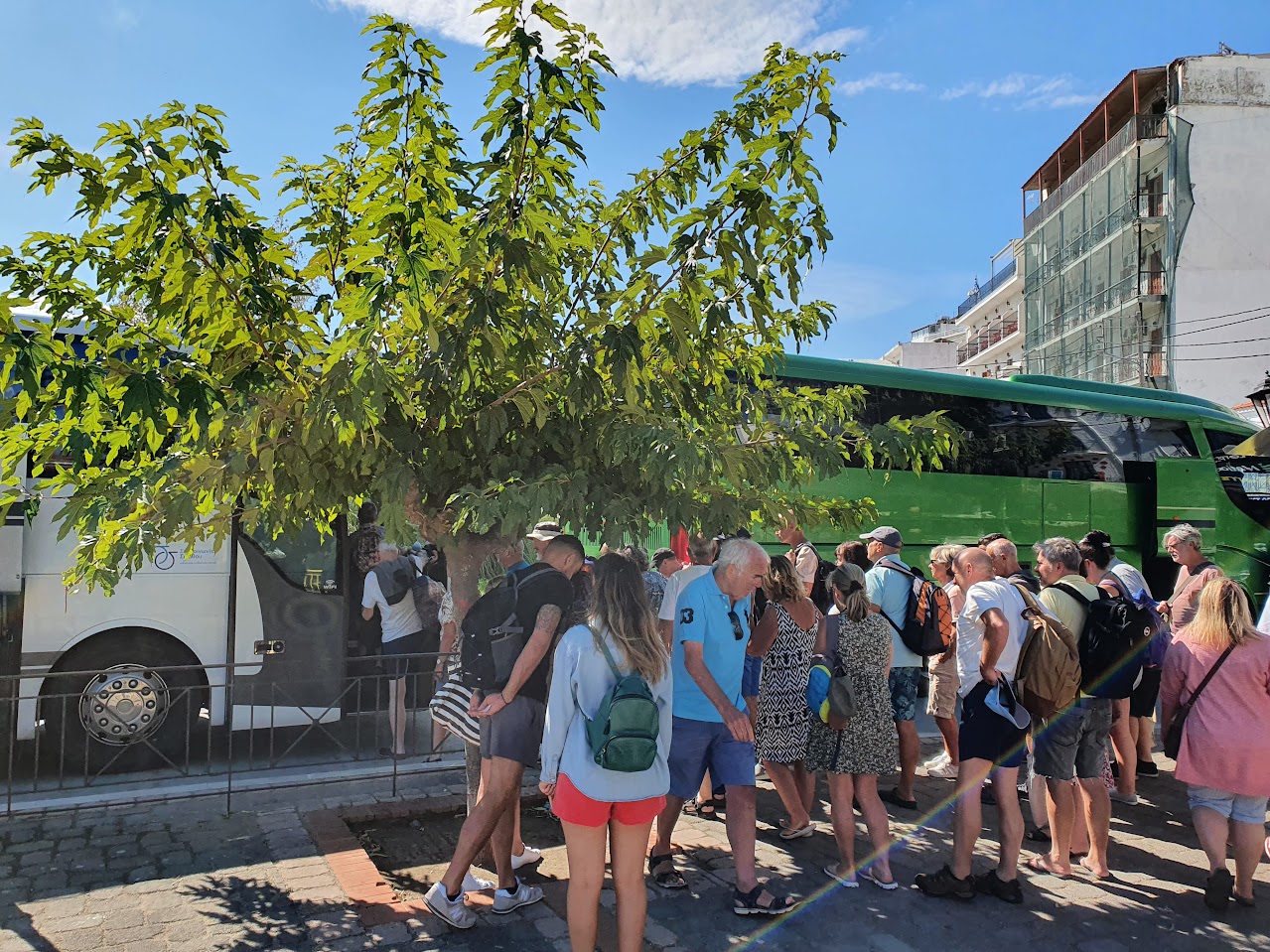 busy buses in skiathos